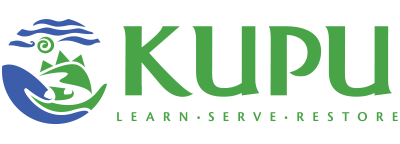 Kupu
